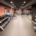 Palestra