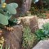 Vista esterna