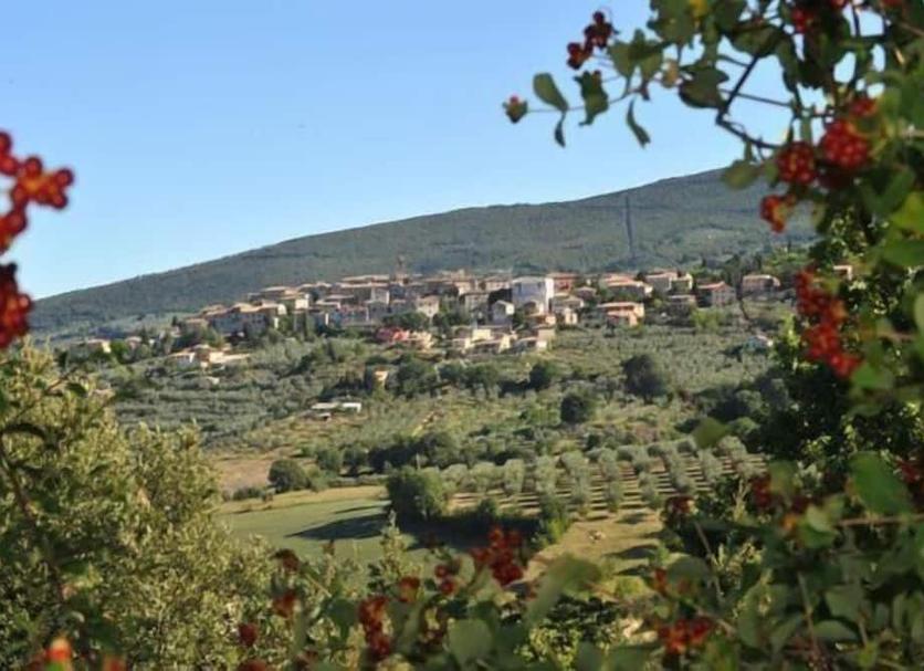 Vista esterna Foto