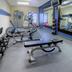Palestra