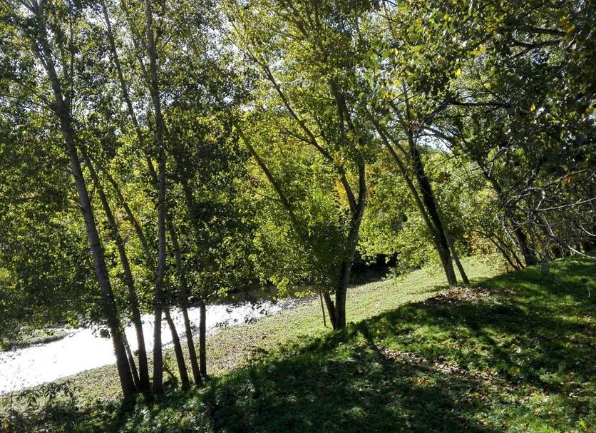 Vista esterna Foto