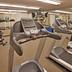 Palestra