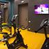 Palestra