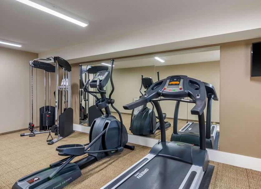 Palestra Foto