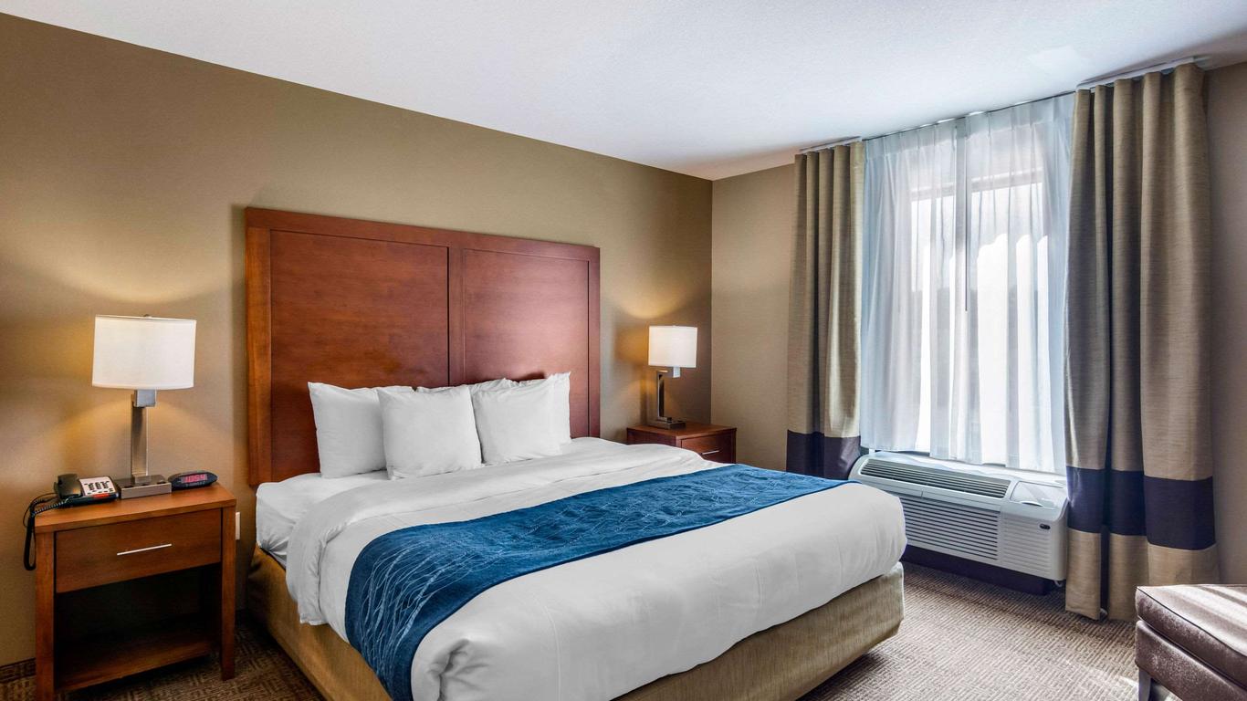 Comfort Inn South Chesterfield - Colonial Heights