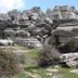 Altro