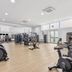 Palestra