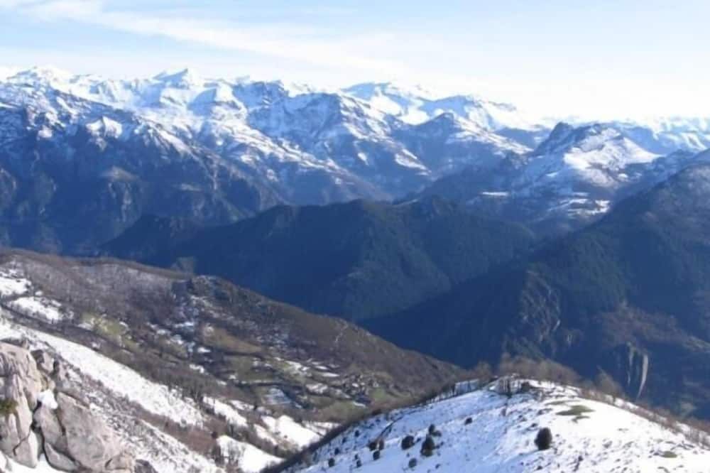 Altro
