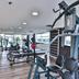 Palestra
