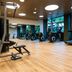 Palestra
