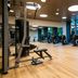 Palestra