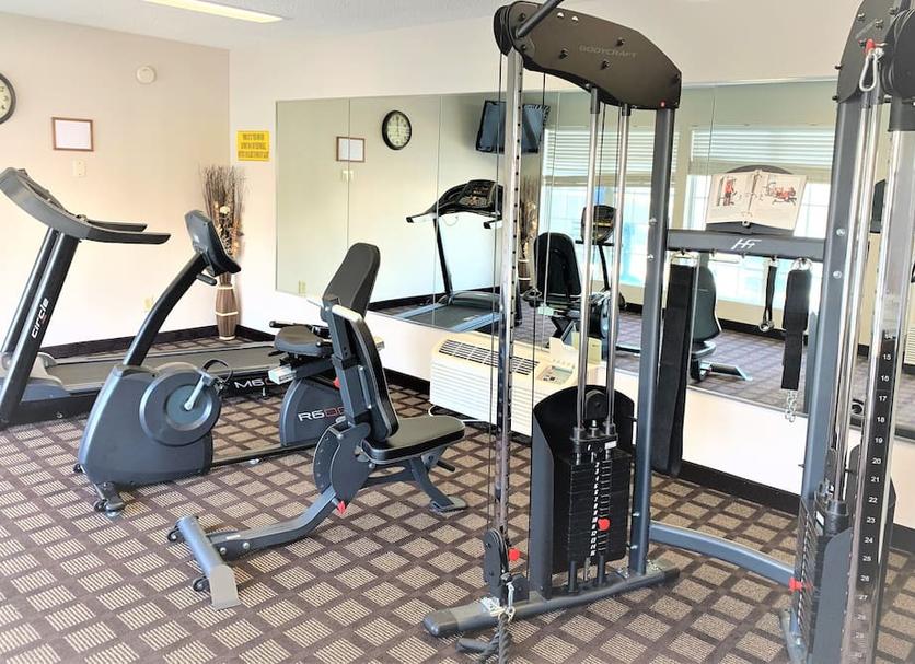 Palestra Foto