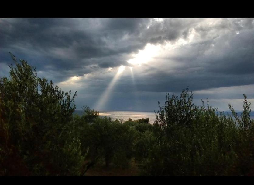 Vista esterna Foto