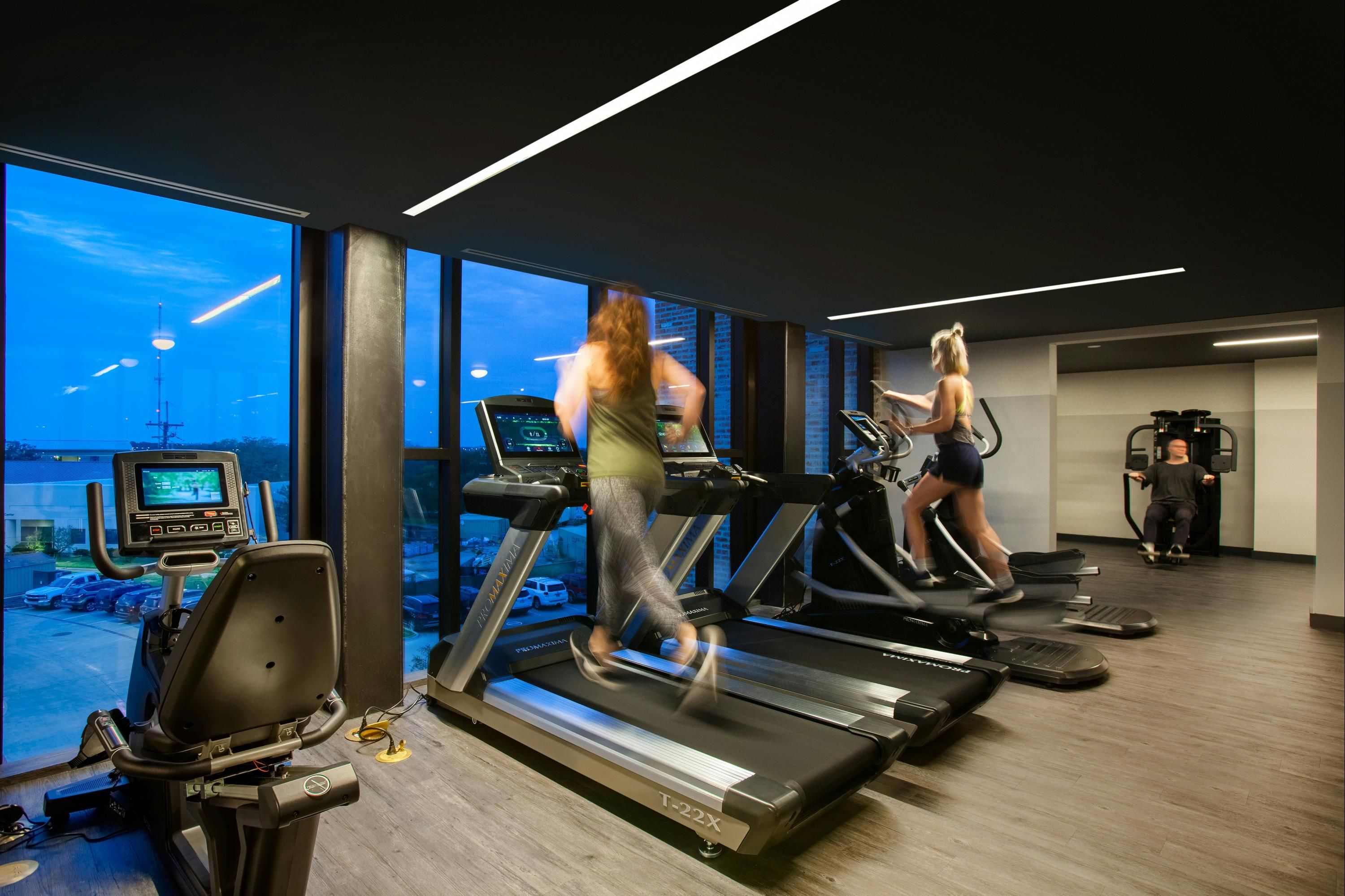 Palestra