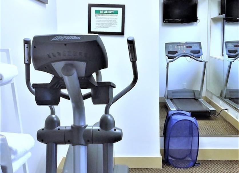 Palestra Foto