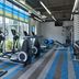 Palestra