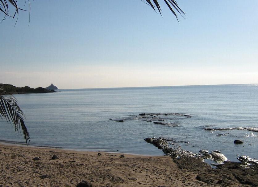 Altro Foto