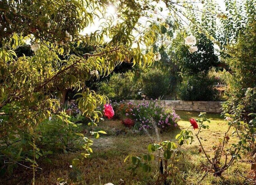 Vista esterna Foto