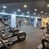 Palestra
