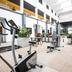 Palestra