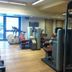 Palestra