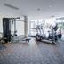 Palestra