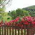 Vista esterna