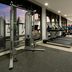 Palestra