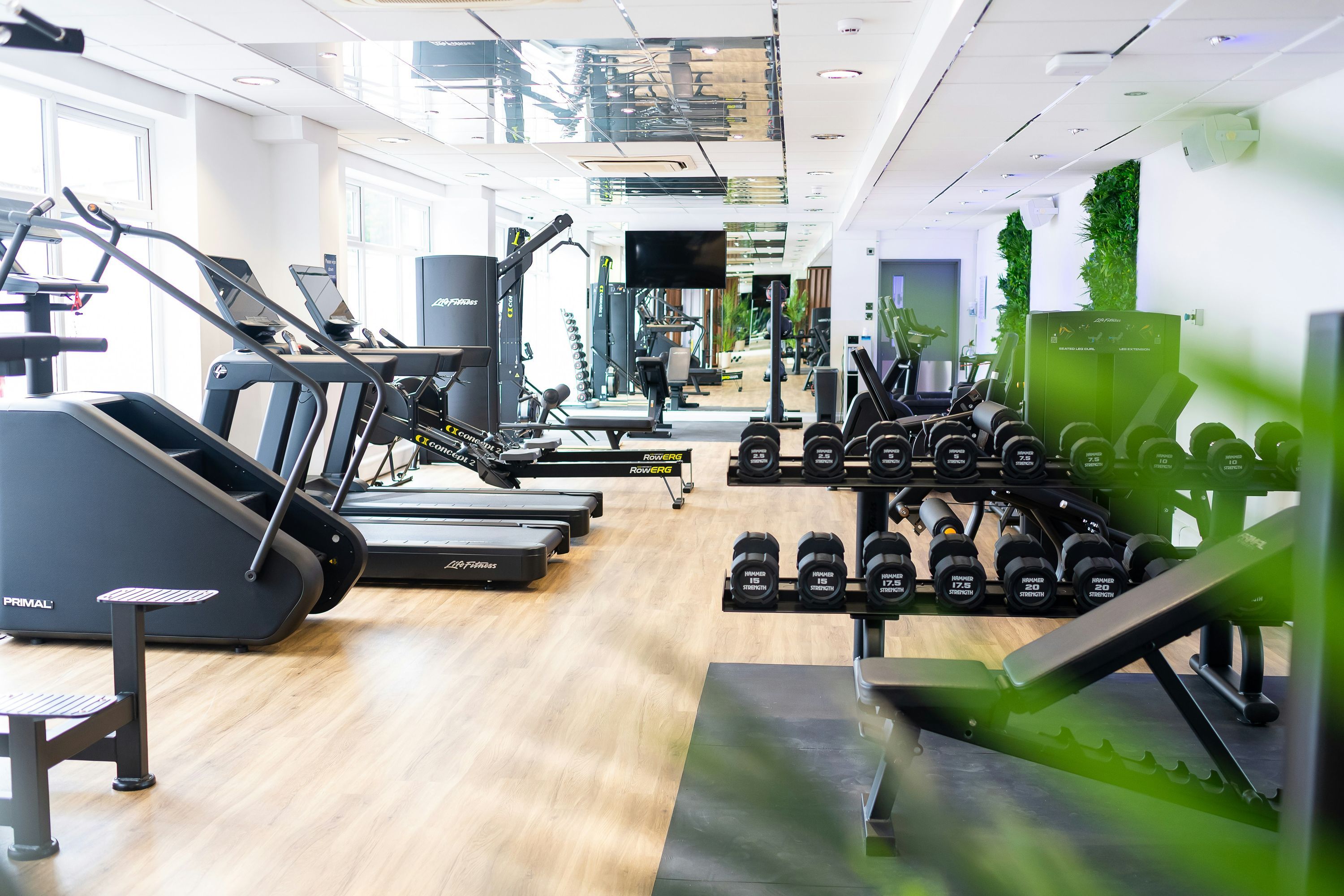 Palestra