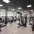 Palestra