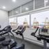Palestra