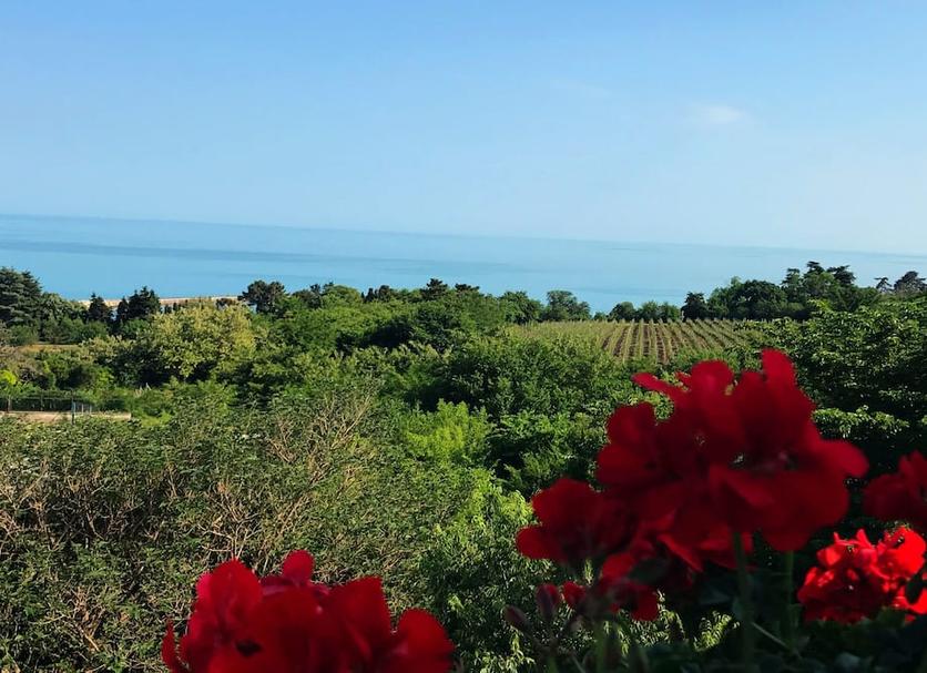 Vista esterna Foto
