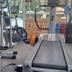 Palestra