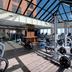 Palestra