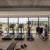 Palestra