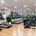 Palestra