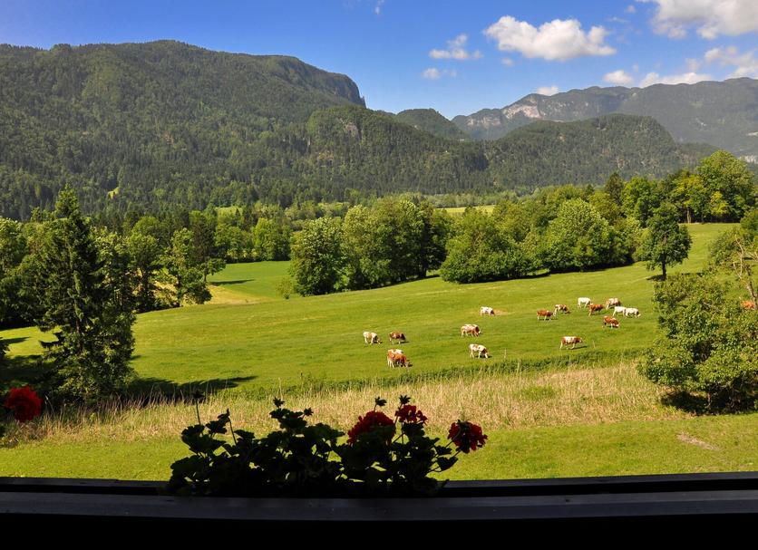 Vista esterna Foto