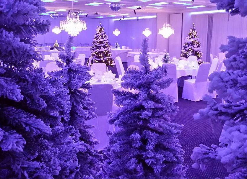 Sala ricevimenti Foto