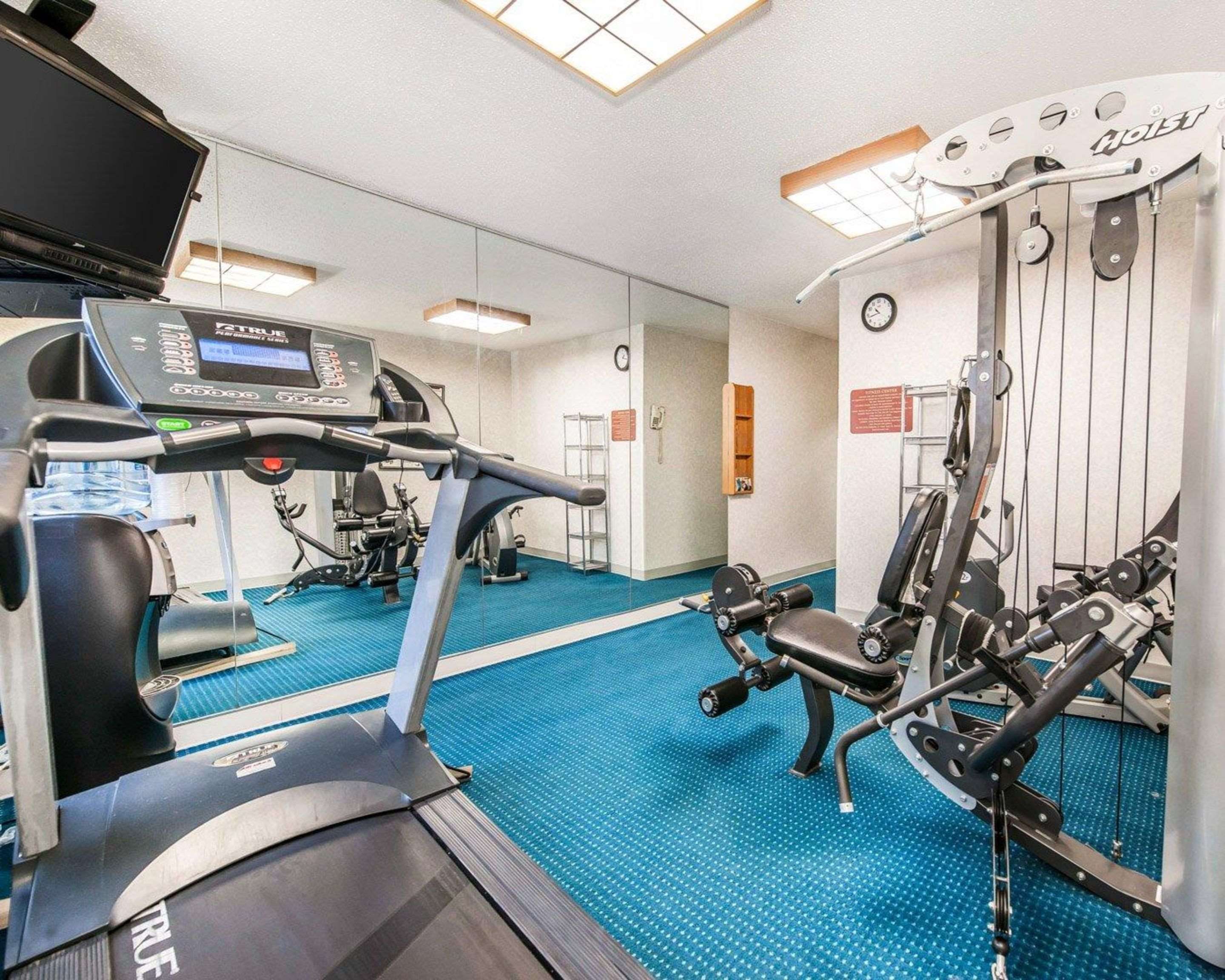 Palestra