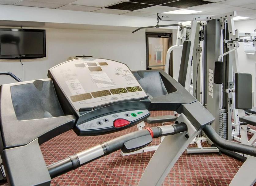 Palestra Foto