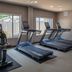 Palestra