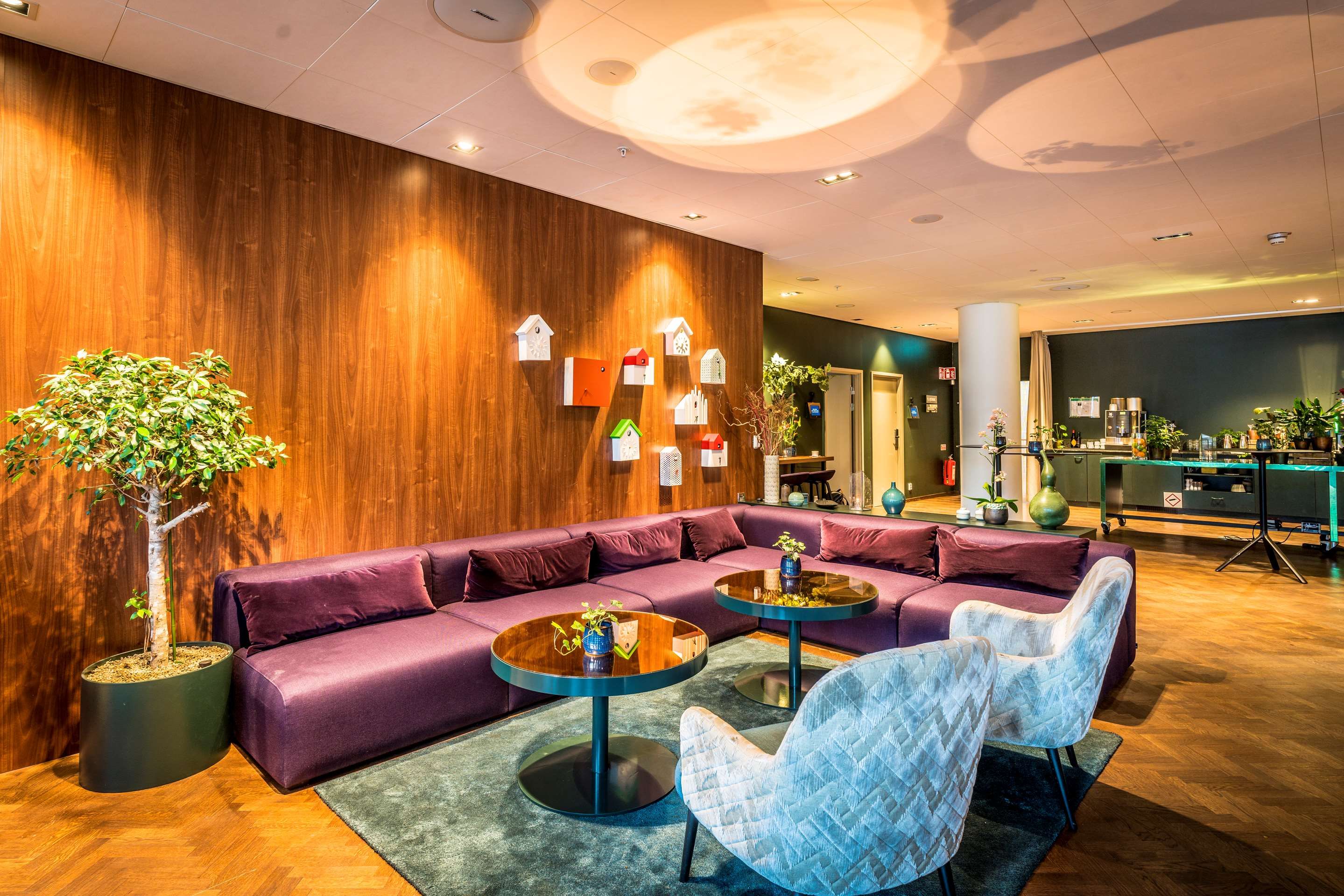 Area lounge