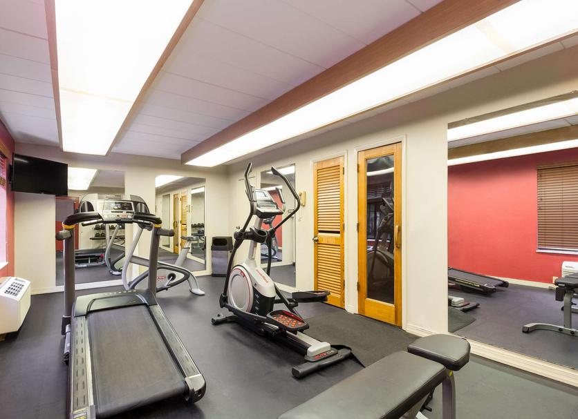 Palestra Foto