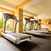 Palestra