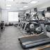 Palestra