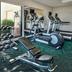 Palestra
