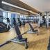 Palestra