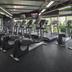 Palestra