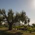 Vista esterna
