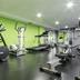 Palestra